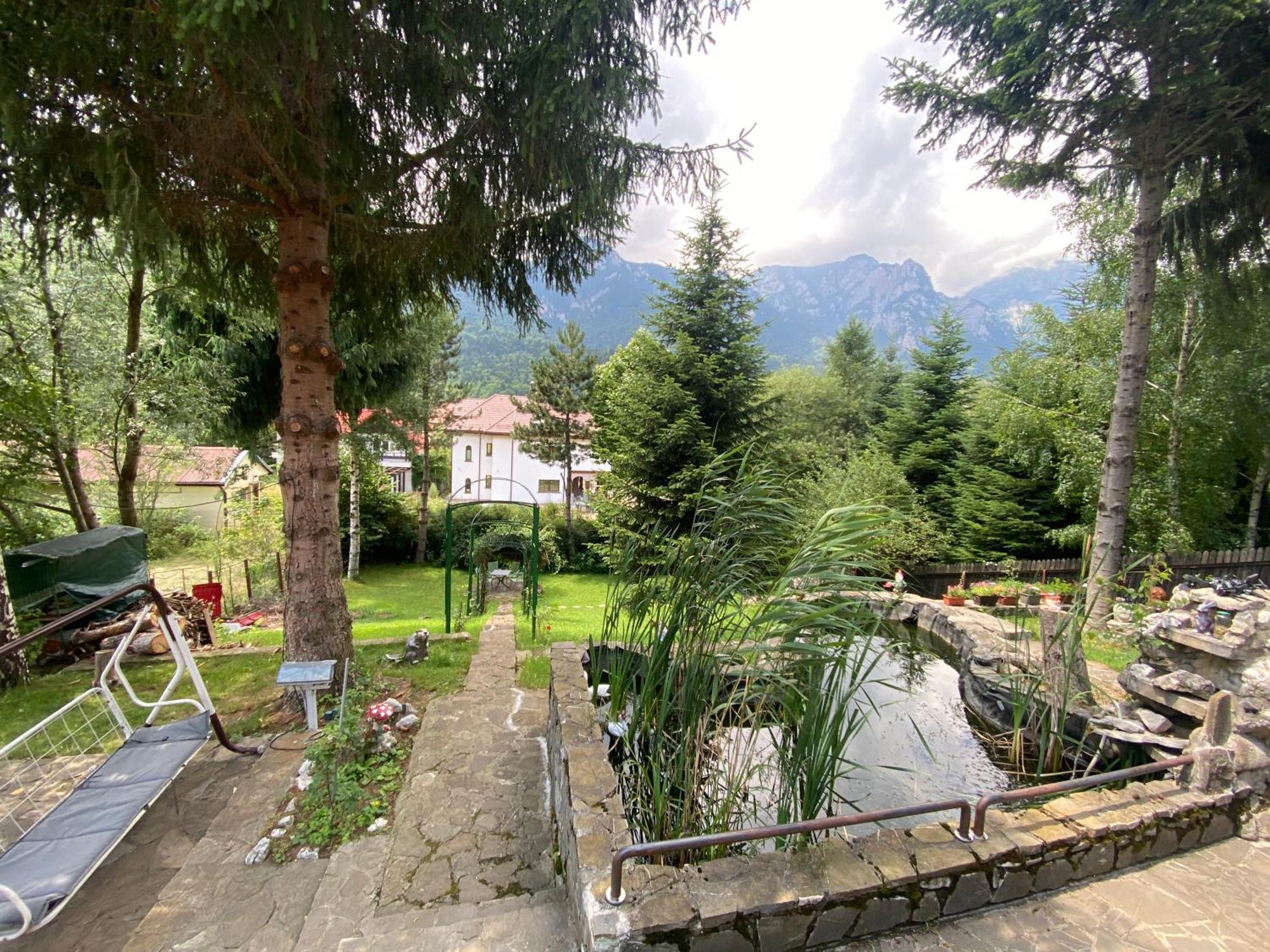 Vila Mara Buşteni Exteriör bild