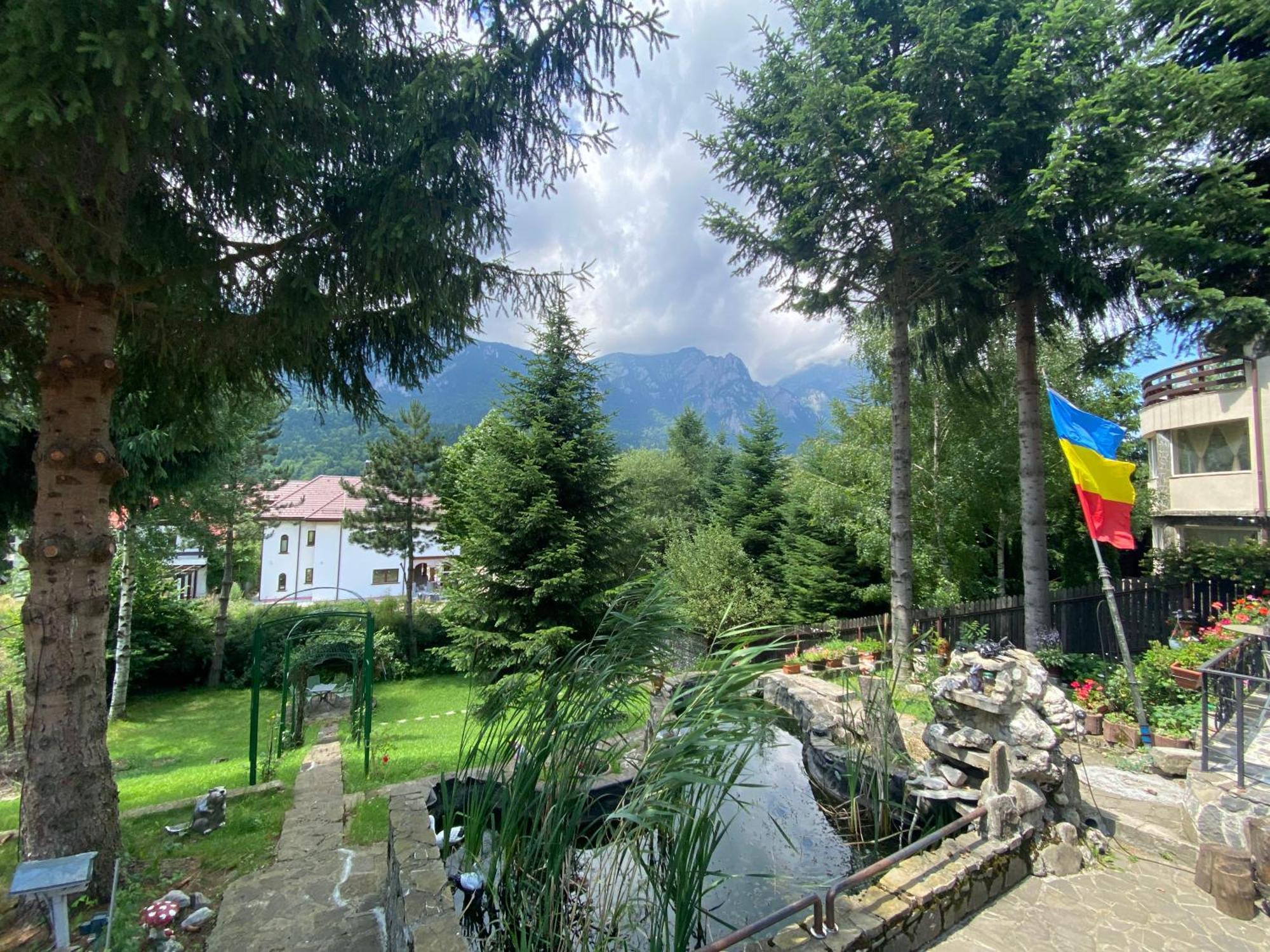Vila Mara Buşteni Exteriör bild